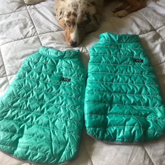 Top Paw Jackets & Coats Terquoise Green Dog Coat Size Xl Poshmark